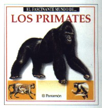 Los primates