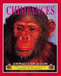 Chimpancés