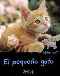 El pequeño gato