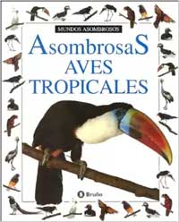 Asombrosas aves tropicales