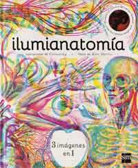 Ilumianatomía