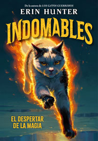 Indomables 1. El despertar de la magia