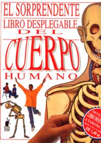 El sorprendente libro desplegable del cuerpo humano : un divertido libro desplegable a tama¤o real. Soy un cuerpo de 1,40 cm.