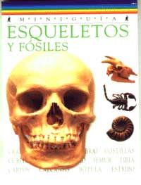 Esqueletos y fósiles