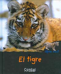 El tigre