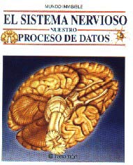 El sistema nervioso nuestro proceso de datos