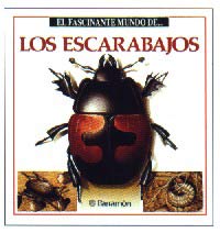 Los escarabajos
