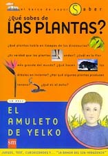 ¿Qué sabes de las plantas?