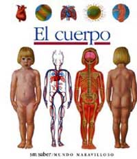 El cuerpo