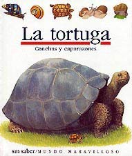 La tortuga : conchas y caparazones